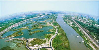西安计划投资1亿元治理渭河滩区5000亩