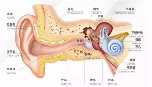 點擊進入下一頁