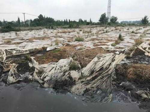 江苏泰兴敷衍中央环保督察 数万吨污泥两年未清理