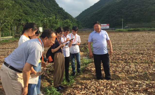 杨凌科技推广助力农业提质增效