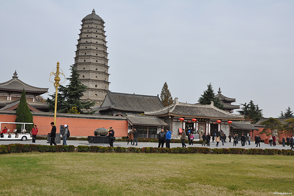 陜西省出臺意見促進全域旅游發展 景區與城市將實現“零換乘”