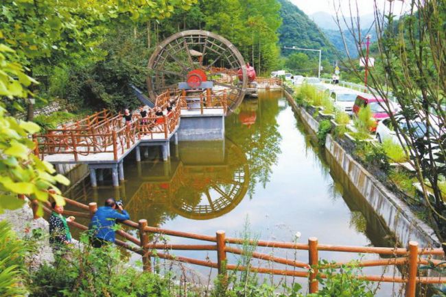 守護(hù)綠水青山 收獲“金山銀山”