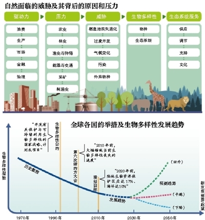 全球野生動(dòng)物44年間消亡60% 人類活動(dòng)系生物多樣性最大威脅