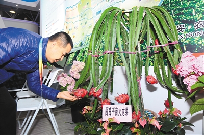 西安展團(tuán)兩大展區(qū) 展示農(nóng)業(yè)新成果推介扶貧新模式