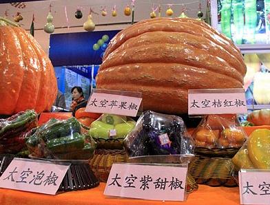 楊凌農(nóng)高會(huì)今開(kāi)幕 買(mǎi)門(mén)票停車(chē)看這里
