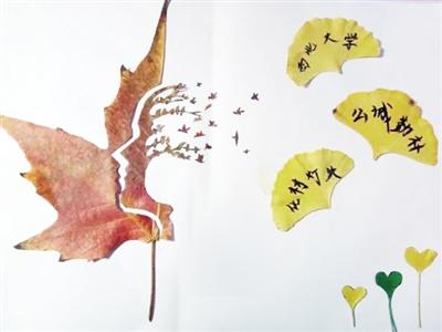 “葉”精彩 大學(xué)生用落葉作畫(huà)