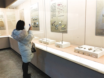 “黃金稻現(xiàn)——河姆渡文化特展”亮相半坡博物館