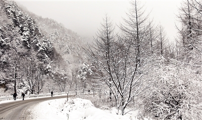 秦嶺飛雪!今明秦嶺山區(qū)積雪可達(dá)10厘米