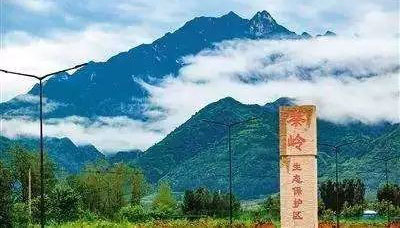 西安8大任務(wù)保護(hù)秦嶺 實(shí)現(xiàn)“山青水凈坡綠”