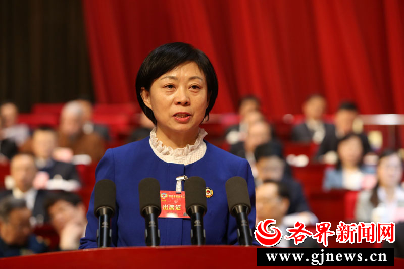 图为陈晓莉1月28日在陕西省政协十二届二次会议第二次全体会上作大会发言。记者 杜静波摄