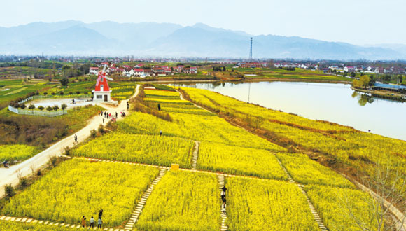 2019中國(guó)最美油菜花海漢中旅游文化節(jié)啟動(dòng)