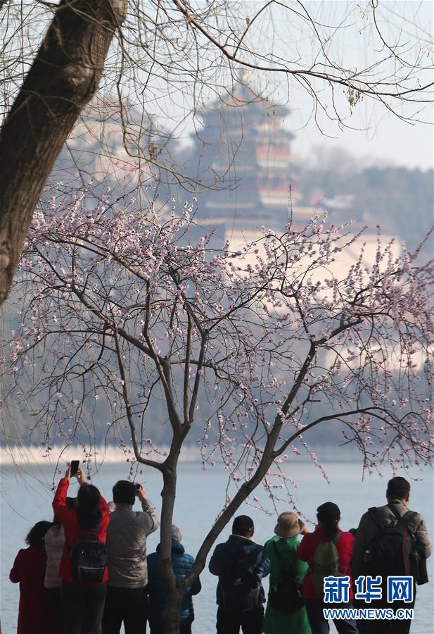 　3月17日，游客在北京颐和园拍照。 春日里的颐和园风光旖旎，游人如织。 新华社记者 张传奇 摄