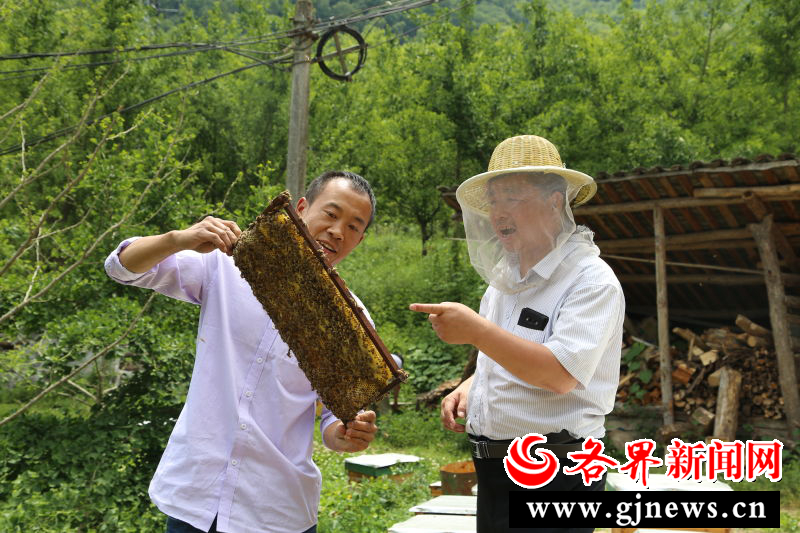 彭教学在留坝县庙台子村采访养蜂专业户