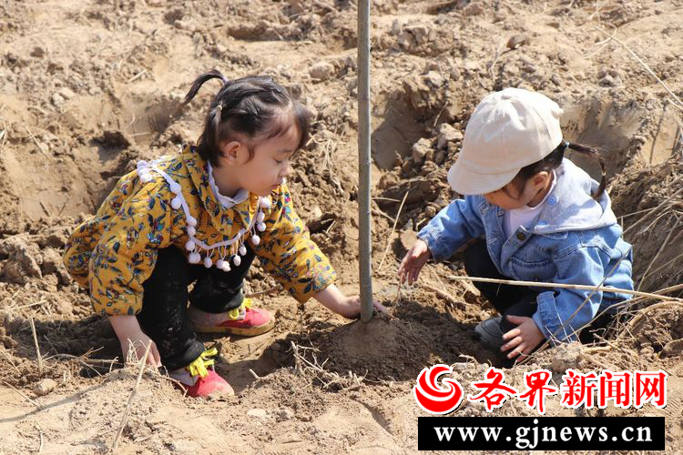 孩子们认真的将土压实，确保小树苗不会倒。