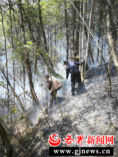  紫陽縣高橋鎮(zhèn)：警民聯(lián)動撲滅山火