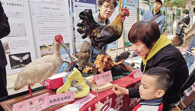 陜西省第38屆“愛(ài)鳥周”啟動(dòng)倡議：保護(hù)環(huán)境 不傷害野生鳥類
