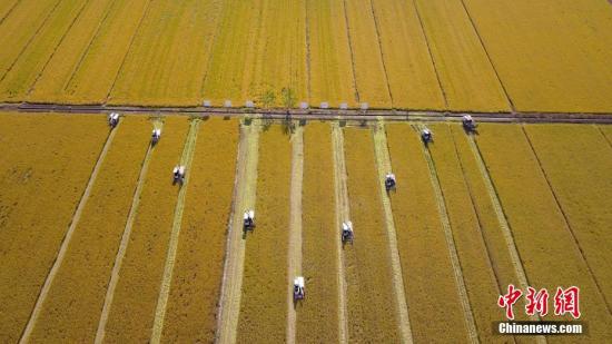 两部委发布重点强农惠农政策：补贴玉米大豆生产者