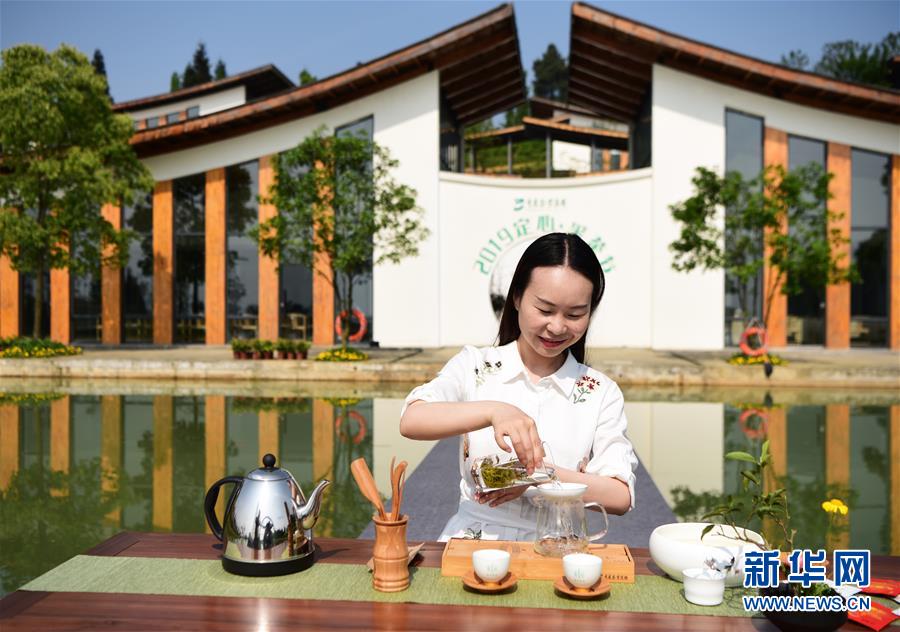 4月25日，张璐在定心茶园体验中心展示茶艺。新华社记者 王全超 摄