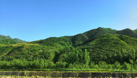 加快林業(yè)發(fā)展 筑牢生態(tài)屏障