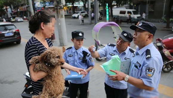 西安警方提高查狗頻次 糾正查處違規(guī)養(yǎng)狗行為