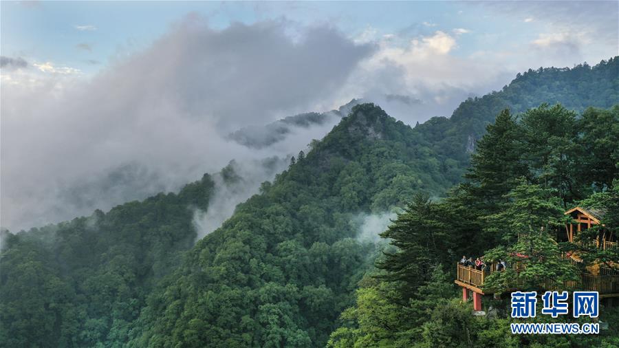 　5月30日，游人在五龙洞国家森林公园呼龙台前欣赏风景（无人机拍摄）。　新华社记者 陶明 摄