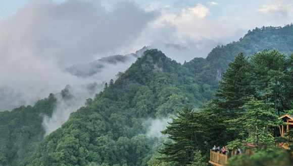 陕西略阳雨后初霁 森林公园美若仙境