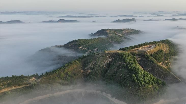 退耕還林二十年 黃土高坡現(xiàn)仙境