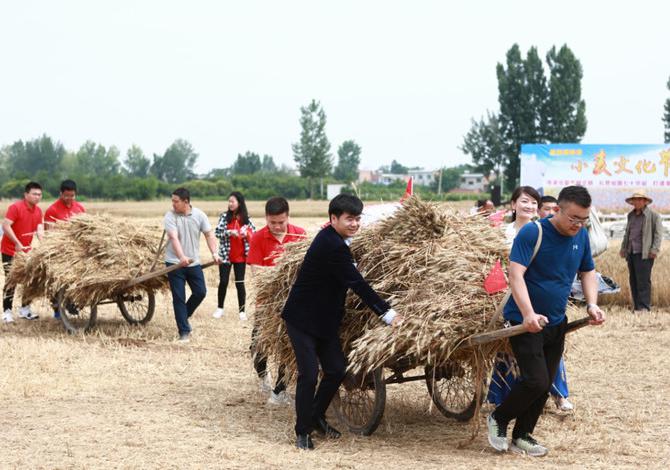 第四屆楊凌小麥文化節(jié)開幕 傳承華夏農(nóng)耕文化