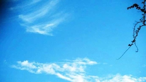 天氣晴熱注意防暑 西安今日最高溫達(dá)36℃