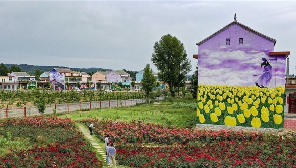 陜西洛南：鋪滿鮮花的玫瑰小鎮(zhèn)