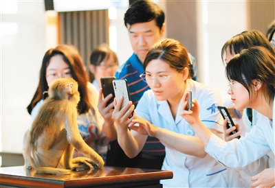 世界首个恒河猴甲亢模型运抵西安