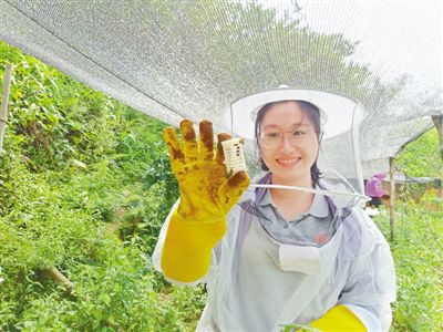 青春之花，绽放在扶贫路上——缅怀广西乐业县百坭村第一书记黄文秀