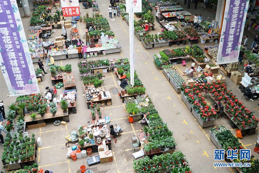 　这是7月9日拍摄的昆明斗南花卉市场。 中国昆明国际花卉展将于7月12日至14日举行。 新华社记者 秦晴 摄