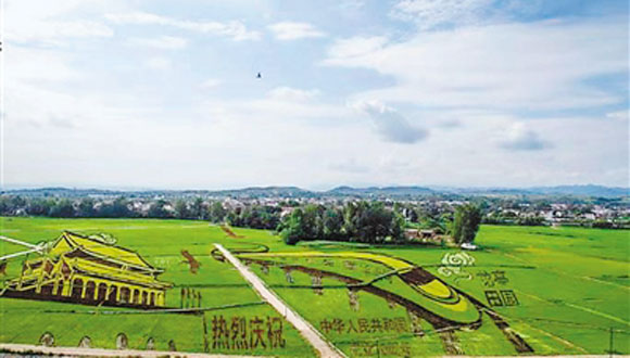 利用卫星定位种植五彩水稻 秦岭四宝“现身”洋县稻田