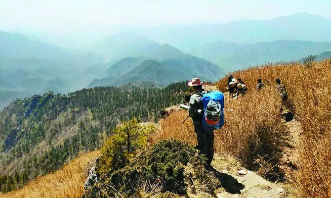 秦岭山林巡护员：跋山涉水只为守护万千生灵
