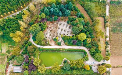 支亮超大違建別墅案一審宣判 陳路支亮被判緩刑