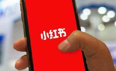 小紅書(shū)在蘋(píng)果APP Store 下架 目前已無(wú)法搜索下載