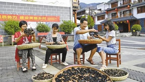  镇坪县14名扶贫干部主动留村当“村官”