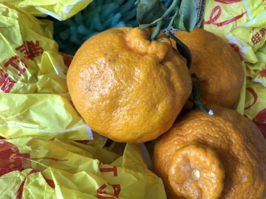 橘子的“果肉”可能和你想的不一样
