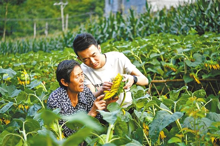 镇坪自愿留基层扶贫干部掠影