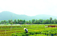 我國農(nóng)村居民人均可支配收入 七十年實(shí)際增長(zhǎng)