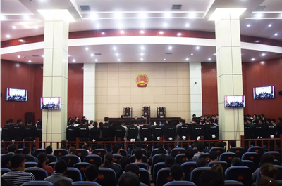 黑惡伏法 捍衛(wèi)正義——江西徐文俊黑社會性質(zhì)組織案警示錄