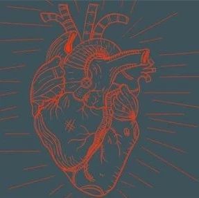 3D打印人体心脏组织