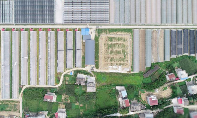 陕西安康：绿色经济迈阔步 生态发展后劲足