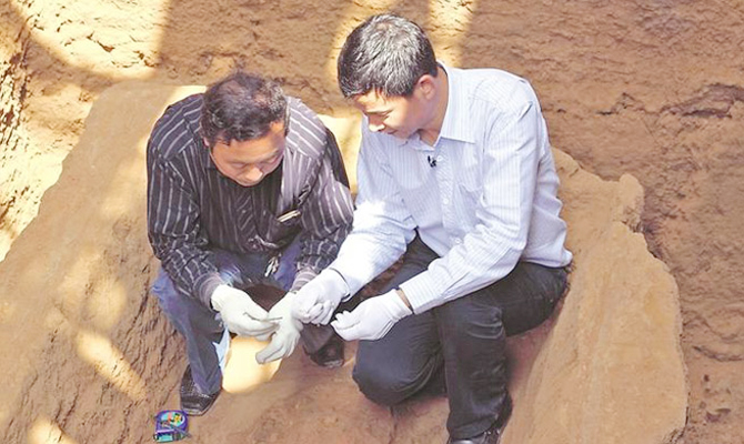 玉猪龙：五千多年前的“小猪佩奇”