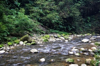陜西將出臺(tái)多項(xiàng)法規(guī)推動(dòng)生態(tài)環(huán)境損害賠償工作