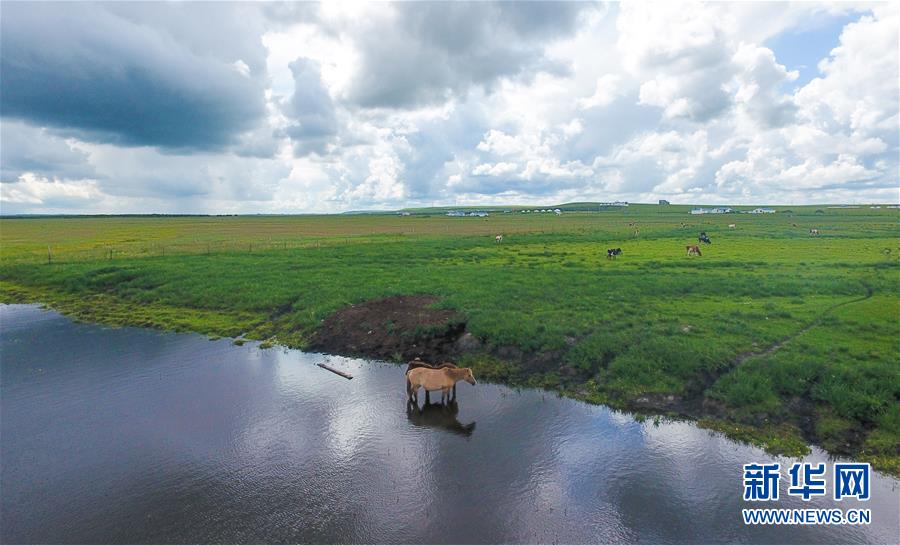 　这是8月26日无人机拍摄的呼伦贝尔大草原。 位于内蒙古东北部的呼伦贝尔大草原景色宜人。秋雨过后，云层低垂笼罩四野，蜿蜒曲折的河流在草原上流淌，构成一幅动人画卷。 新华社记者 彭源 摄