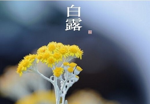 露从今夜白 早晚温差大 9日～10日西安有明显降水