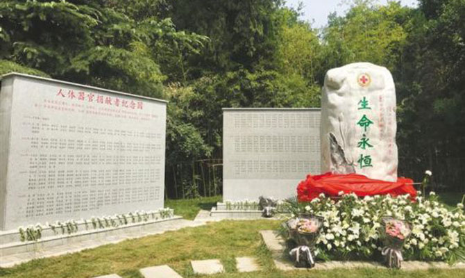 器官捐献：让生命以另一种方式延续