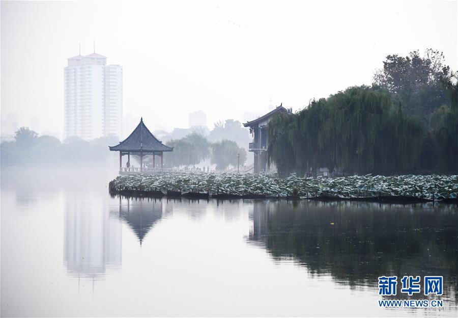 　9月18日，晨雾缭绕下的大明湖。 当日清晨，济南大明湖畔晨雾蔼蔼，连片的荷叶、碧绿的垂柳、雅致的古建筑，共同构成了一副“水墨画”。 新华社记者王凯摄